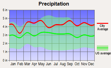 Mount Pleasant, New York average precipitation