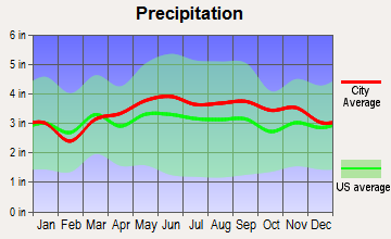 Amsterdam, New York average precipitation