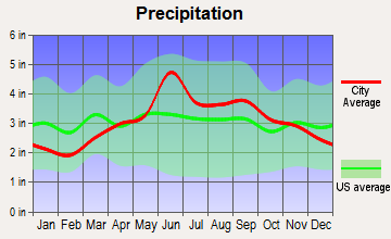 Belmont, New York average precipitation