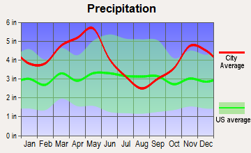 Brinkley, Arkansas average precipitation