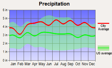 Carmel Hamlet, New York average precipitation
