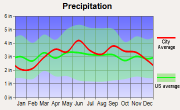 Endicott, New York average precipitation