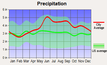 Falconer, New York average precipitation
