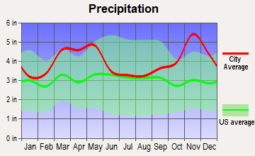 Cave City, Arkansas average precipitation