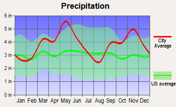 Central City, Arkansas average precipitation