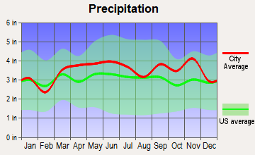 Greenville, New York average precipitation