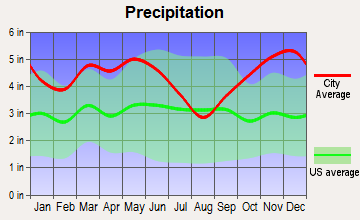 Chidester, Arkansas average precipitation