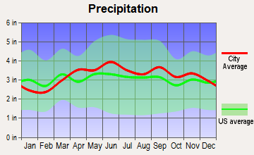 Johnson City, New York average precipitation