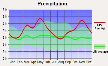 Dover, Arkansas average precipitation