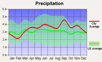Skaneateles, New York average precipitation