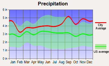 Greig, New York average precipitation
