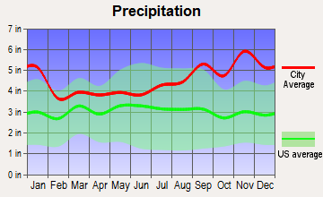 Pinckney, New York average precipitation