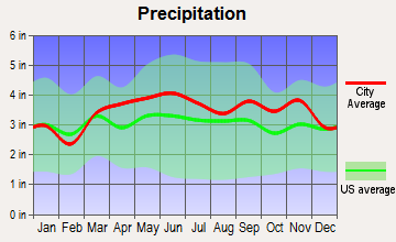 Berne, New York average precipitation