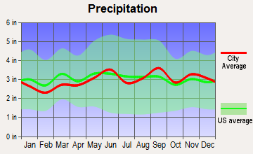 Grand Island, New York average precipitation