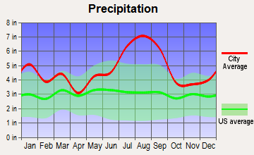 Bogue, North Carolina average precipitation