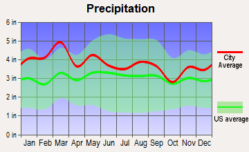 Canton, North Carolina average precipitation