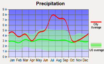 Castle Hayne, North Carolina average precipitation