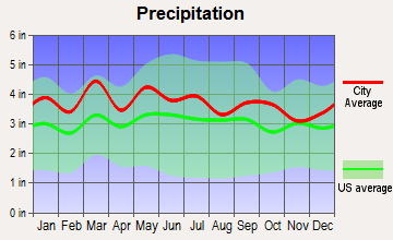 Clemmons, North Carolina average precipitation