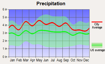 Dobson, North Carolina average precipitation
