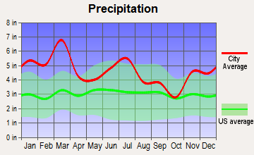 Goshen, Alabama average precipitation