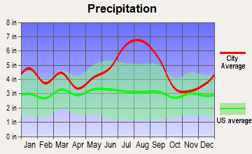 River Bend, North Carolina average precipitation