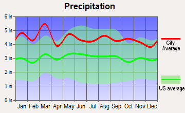 Ruth, North Carolina average precipitation