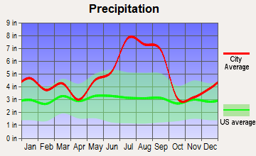 Wrightsboro, North Carolina average precipitation