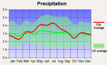 Amsterdam, Ohio average precipitation