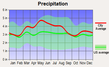 Bethel, Ohio average precipitation