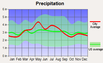 Chillicothe, Ohio average precipitation