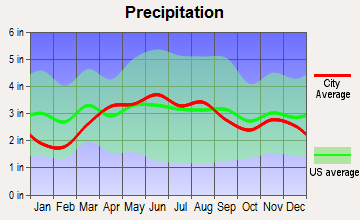 Grand Rapids, Ohio average precipitation