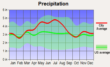 McConnelsville, Ohio average precipitation