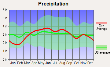 Pioneer, Ohio average precipitation