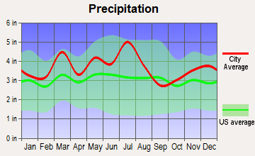 South Point, Ohio average precipitation