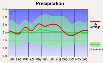 South Webster, Ohio average precipitation