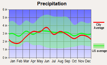 Swanton, Ohio average precipitation