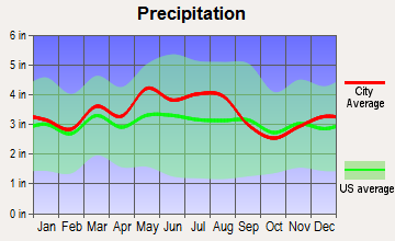 Wheelersburg, Ohio average precipitation