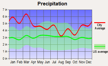 Hayden, Alabama average precipitation