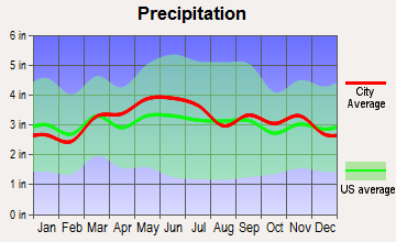 Broad Top City, Pennsylvania average precipitation