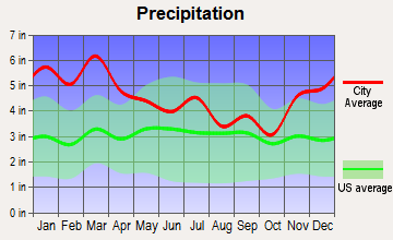 Hokes Bluff, Alabama average precipitation