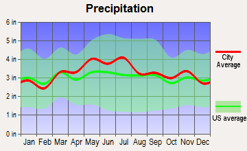 Schellsburg, Pennsylvania average precipitation