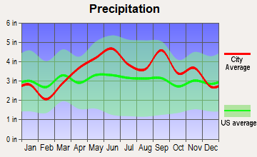 Shamokin, Pennsylvania average precipitation