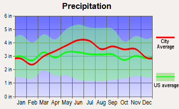 Susquehanna Depot, Pennsylvania average precipitation