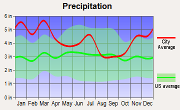 Holt, Alabama average precipitation