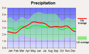 Everett, Pennsylvania average precipitation