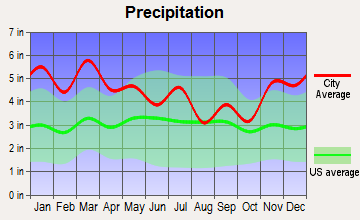 Hoover, Alabama average precipitation