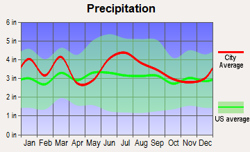 Camden, South Carolina average precipitation