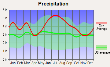 Cheraw, South Carolina average precipitation