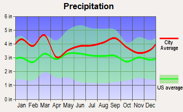 Clover, South Carolina average precipitation
