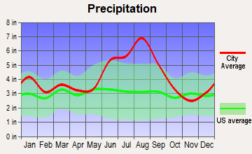 Hardeeville, South Carolina average precipitation